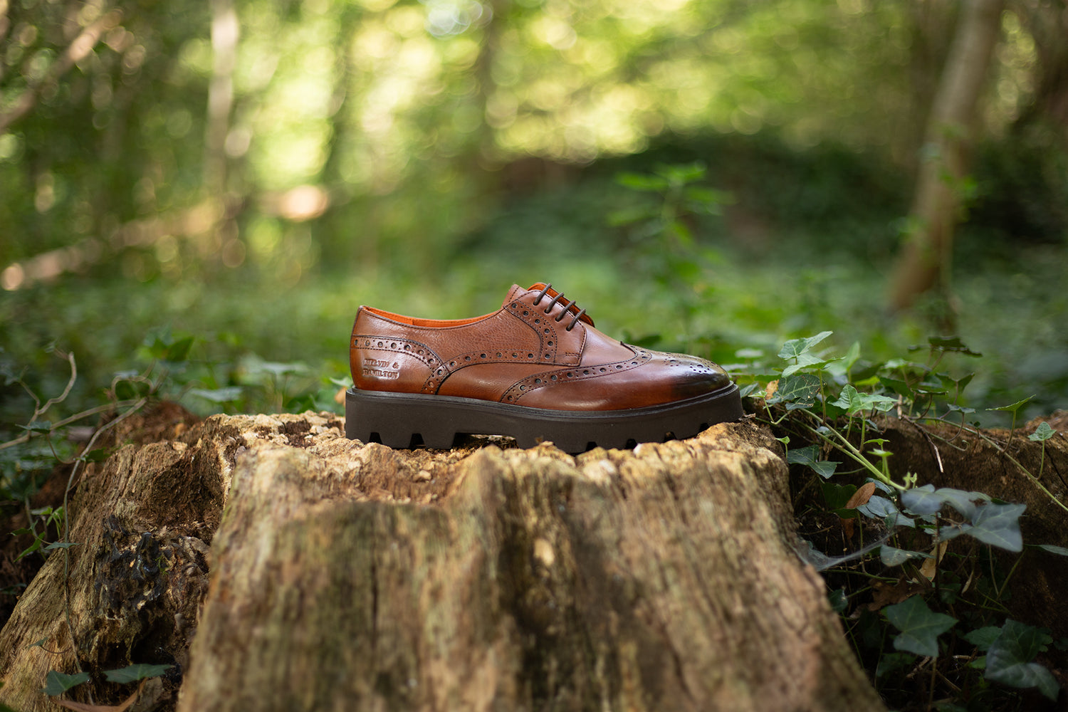 Damskie derby Jenny 6 Melvin & Hamilton