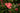 Eglantine 1|hero_img