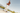 Maxel 1|hero_img