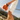 Evan 1|hero_img