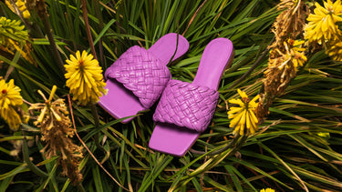 Eglantine 1|hero_img