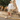 Jaxson 3|hero_img