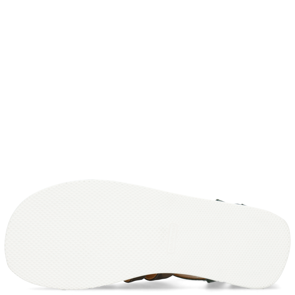 Sam 3