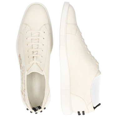 Newton 11