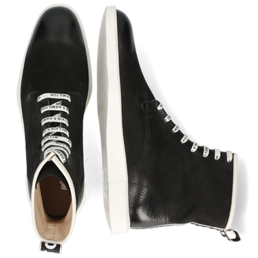 Newton 18