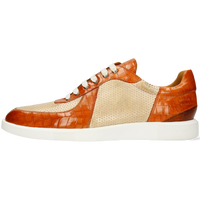 Newton 6