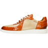 Newton 6
