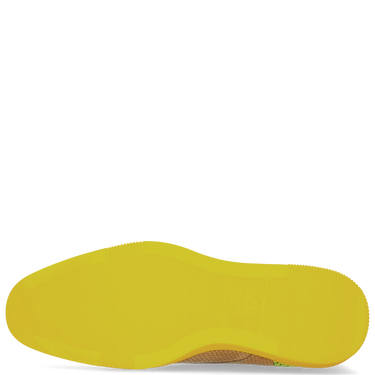 Newton 2
