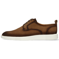 Newton 4