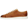 Newton 23