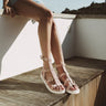 Wilma 12|hero_img