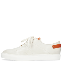 Harvey 15