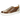 Harvey 29