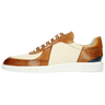 Newton 6