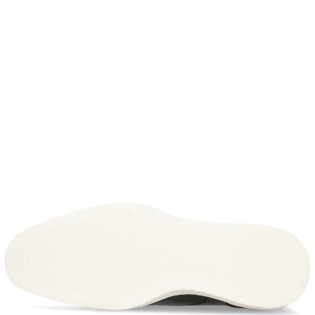 Newton 2