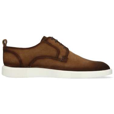 Newton 4