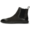 Newton 17