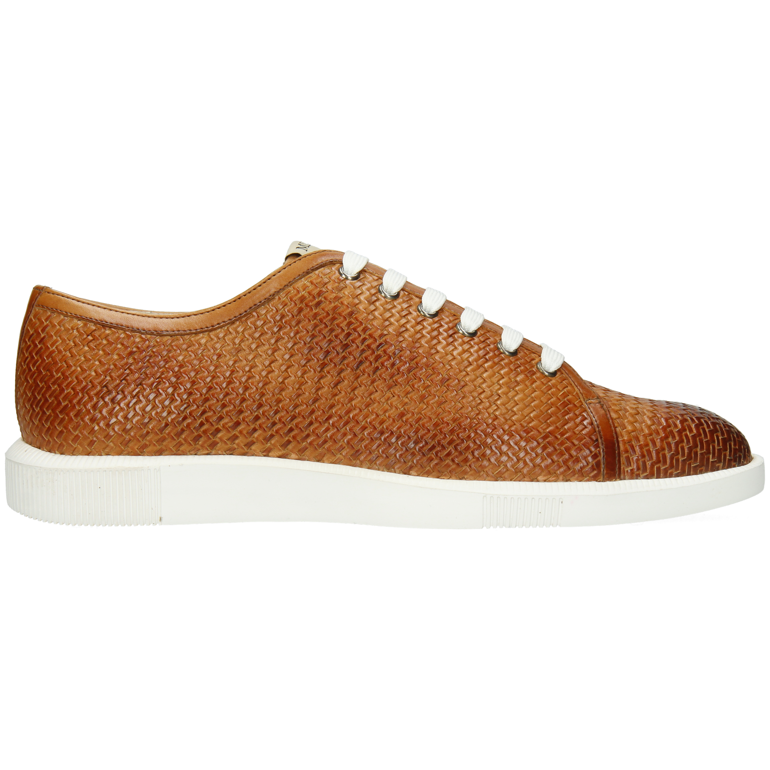 Newton 23