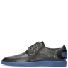 Newton 1