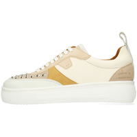 Amber 9