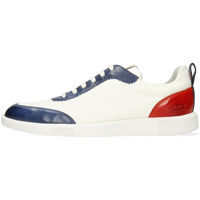Newton 15