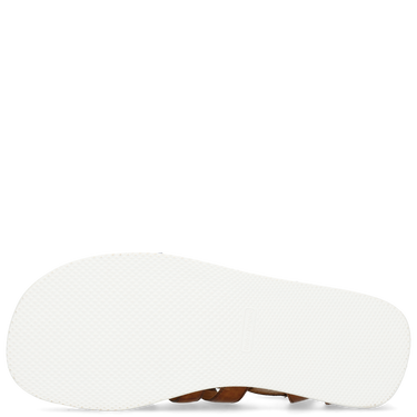Sam 3