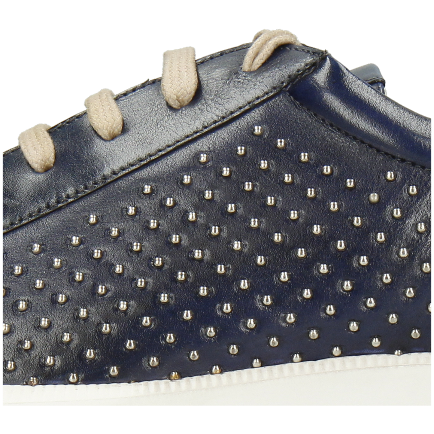 Newton 24