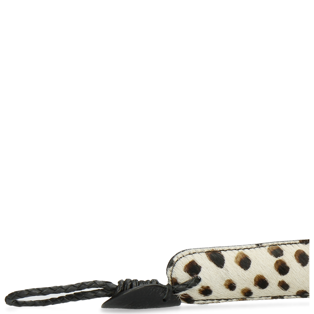 Anton 3